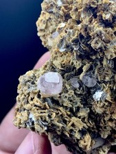 Natural Pink Apatite Crystal On Mica From Pakistan  picture