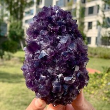 374G Natural Amethyst Flowers Crystal Quartz Cluster Specimens Healing Reiki picture