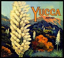 Riverside Yucca Flowers Orange Citrus Fruit Crate Label Vintage Art Print picture