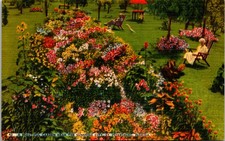 St. Petersburg,FL A Beautiful Garden/Sunshine City/Elderly Lady/Gods Garden-A155 picture