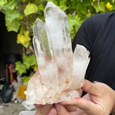 1.4lb Natural Clear White Quartz Crystal Cluster Rough Healing Specimen picture