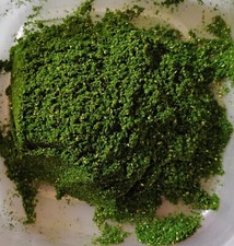 Rosemary Incense Powder 4oz - Luck, Protection, Spiritual (Purifying, cleansing) picture