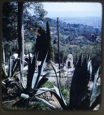 Cascade de Gairaut Nice France - 1952 Stereo Realist slide #2614 picture