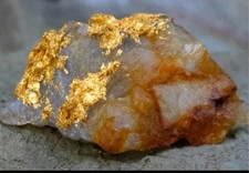 Gold Ore Specimen 17.02g Telluride Gold ☆TARRIFFS PAID☆20% Off Was $191 picture