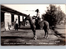 c1945 Man Lasso Horse Gillespie Ranch Gila Bend Arizona AZ Maricopa County RPPC picture