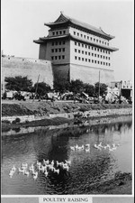 Photo:Beijing China 1930s Ducks in Canal Outside City Walls Carts Wagons picture
