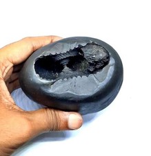 Shaligram Stone Lakshmi-Narsimha Nepal Gandaki River Laxmi Narayan Salagram 3 In picture