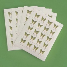 2025 USPS SHEET OF 20 NON-MACHINEABLE LETTER STAMPS LUNA MOTH 1.31¢ picture