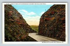 Towanda PA, Twin Cuts, Roosevelt Highway, Trail, Pennsylvania Vintage Postcard picture
