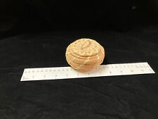 Tohono O’odham Basket Coiled Papago Bear Grass Yucca Lidded VTG Native American picture