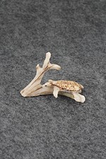 Turtle Zuni Fetish Carving - Ruben Najera picture