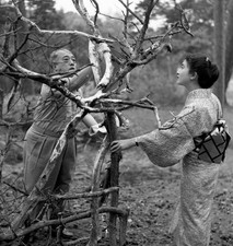 Sofu Teshigahara with his assistant founder of the Sogetsu Institu- Old Photo picture
