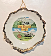 Vintage Stone Mountain Georgia Souvenir Plate picture