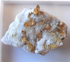 Very rare gympie gold specimen picture