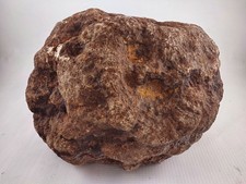 16LB Unopened Rattler Geode Huge 9