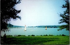 Pierce Lake Rock Cut State Park Sailboats Trees Rockford Vintage Postcard picture