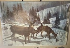 Sears Roebuck MCM Large Wall Mural Winter Deer Scene 45x65  1961 VTG picture