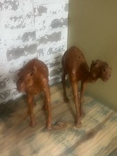 Set of vintage handcrafted brown leather-wrapped camel figurines Life like eyes picture