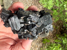 Black Tourmaline, well crystallized, Santa Cruz, Sonora, Mexico picture