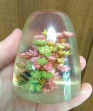 Floral Paperweight Daisyglas hand crafted Campbell CA Vintage Bumblebee Flowers picture
