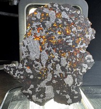 Steinbach Meteorite Iron IVA-An Silicated Rare 47g Slice picture