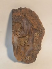 Priday Saginitic Plume Agate 94gm Gem Lapidary Cabbing Slab picture