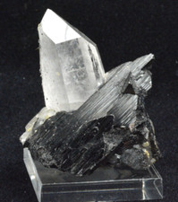 Wolframite, Quartz, Yaokanshau, China, 1.8x1.4