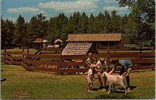 c1960s Hayward, Wisconsin Postcard WILDERNESS WALK 
