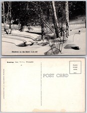 Walker Minnesota Snowy Birch Forest Postcard picture