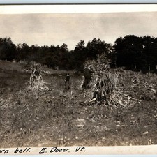 c1910s East Dover VT Corn Belt Snapshot Photo Man Boy Harvest Husks Field VT 5