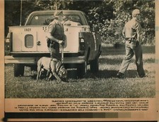 AP Laserphoto-1984-Warrenton NC-Police Search for Escaped Death Row Inmates picture