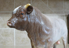SUPER cool short horn Breyer bull custom on the Charolais mold cow farm vintage picture