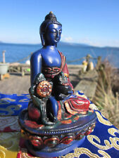 USA Seller Rustic Folk Art Hand Paint Tibetan Buddhist Medicine Buddha Statue 4