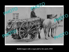 Australian Rabbit Trapper With Full Wagon c1910 Large Historic Old Photo picture