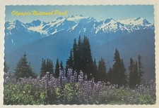 Mount Olympus National Park Postcard - Scalloped Edges - Unposted picture