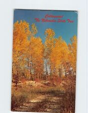 Postcard Cottonwood The Nebraska State Tree USA North America picture