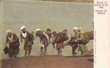 Sakkas Group at the Nile - EGYPT -  سقارة picture