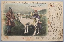 1904 Norway Lapper med Ren Sami People with Reindeer Norway to St. Paul MN picture