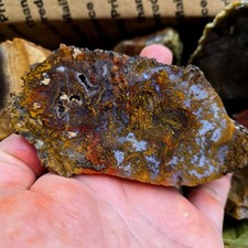 Cut and Proven & Endcut Cutting Rough Flatrate Lapidary Sliced Face picture