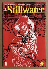 Stillwater #1 First Printing Image Comics 2020 picture