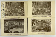 1935 38 Allegheny School of Natural History Vtg Postcards 4 Cards picture