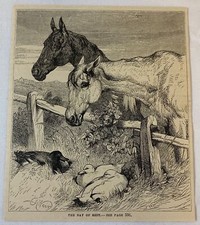 1879 magazine engraving ~ HORSES AND DUCKS picture