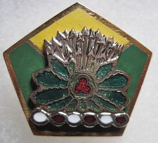 Army crest DI dui SB screwback ww2 37th MILITARY POLICE COMPANY  Division Meyer picture