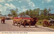 West Palm Beach FL Florida Lion Country Safari Cars Cats 1960s Vtg Postcard P10 picture