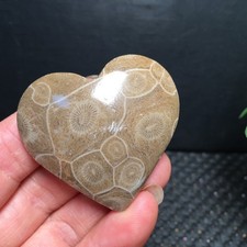 31g Natural polished petoskey stone crystal Heart Specimens fb1786 picture