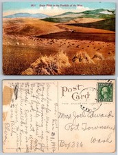 1922 Grain Fields Foothills of the West Port Townsend WA Postcard picture