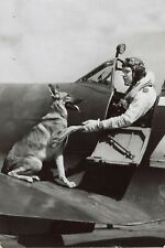 Fighter pilot before takeoff and his dog WW2 Photo Glossy 4*6 in Z011 picture