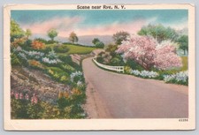 Rye, NY Winding Road Linen Postcard - Vintage 1952 Posted New York picture