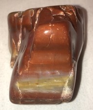 Polished Petrified Wood (Arizona) Approx 225 Million Years Old GORGEOUS SPECIMEN picture
