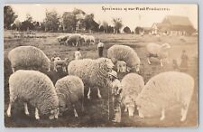 Postcard RPPC Exaggeration Huge Sheep Wool With Shepherd Antique picture